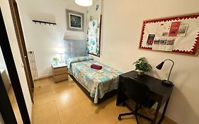 Alojamiento Nuevo Balmes